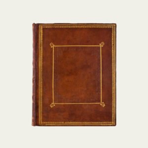 Mezzotint – Turtle (“Heart as a Shield” series)